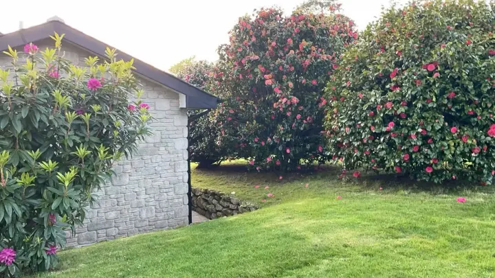 Trenython Manor Resort 12