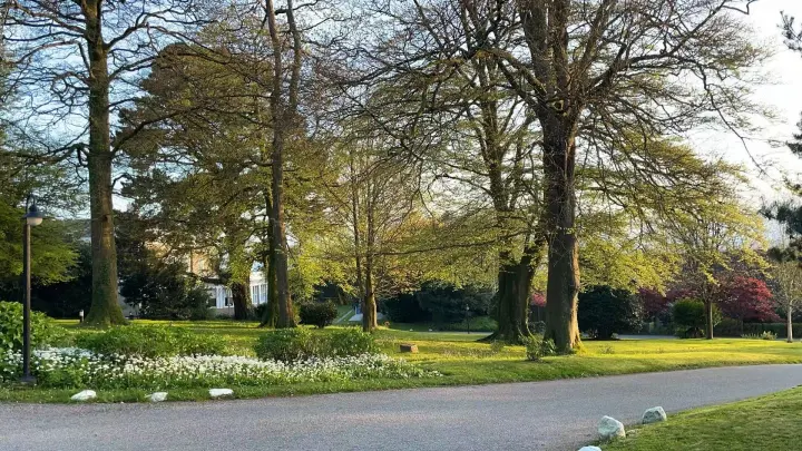 Trenython Manor Resort 15