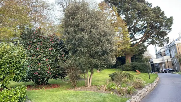 Trenython Manor Resort 18