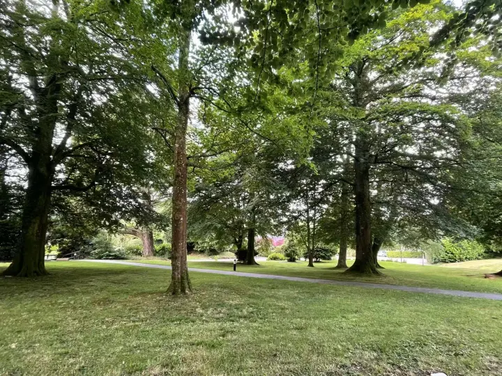 Trenython Manor Resort 13