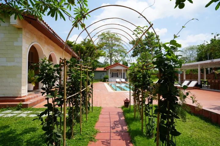 La Villa des Chien 1