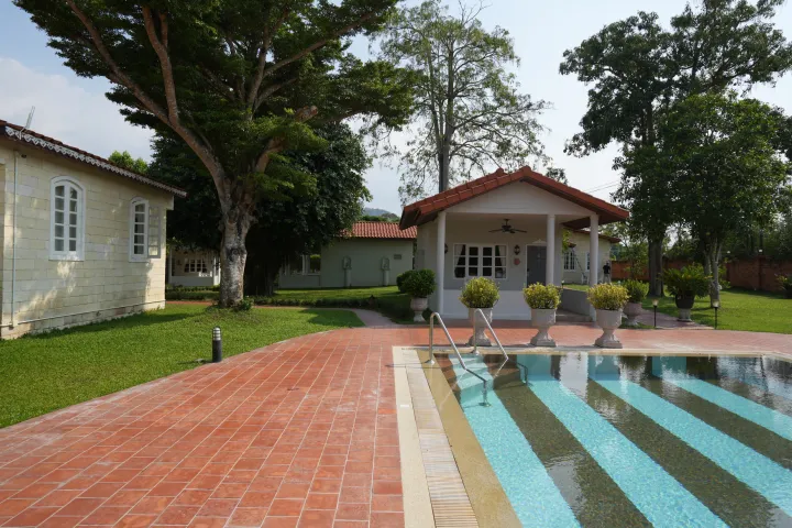 La Villa des Chien 24