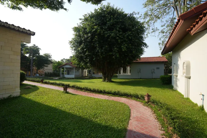 La Villa des Chien 15