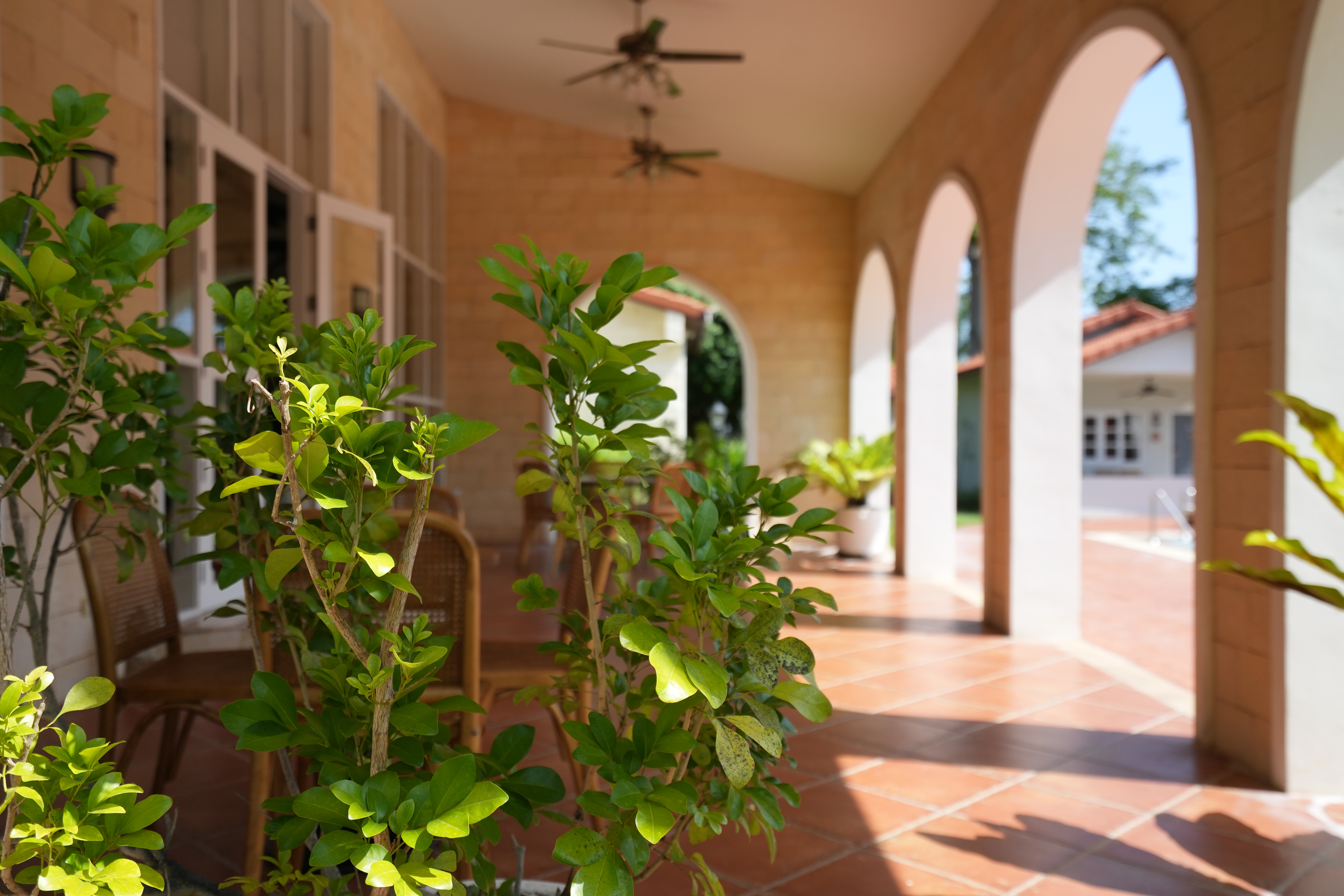 La Villa des Chien 29