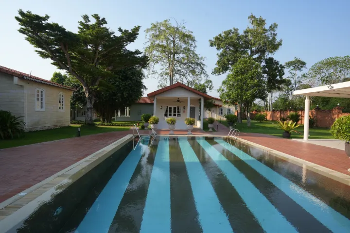 La Villa des Chien 23