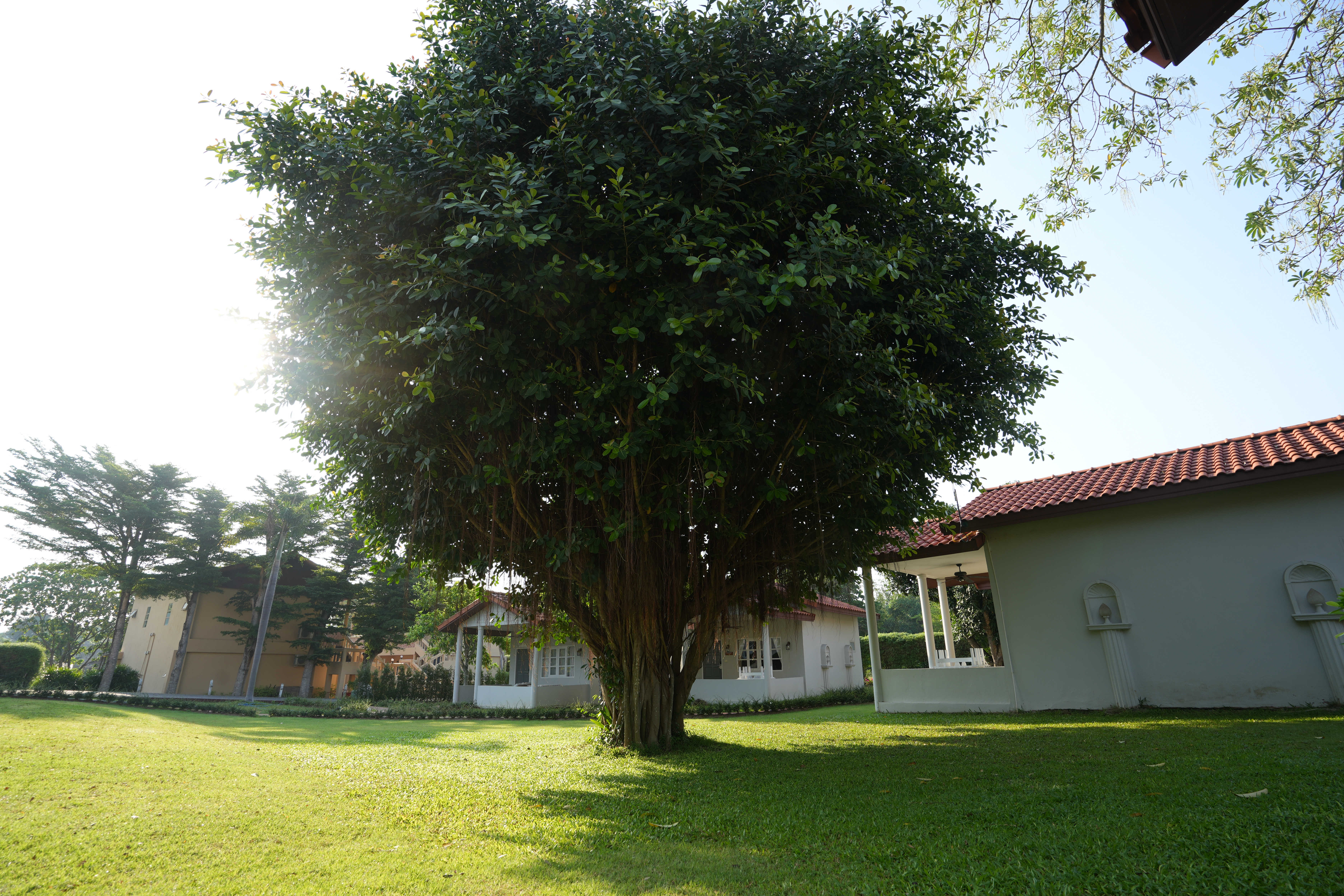 Villa with Garden View Twin beds 25