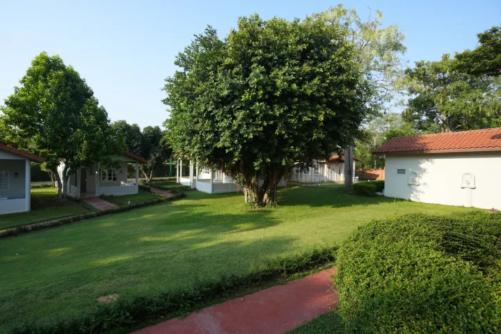 La Villa des Chien 10