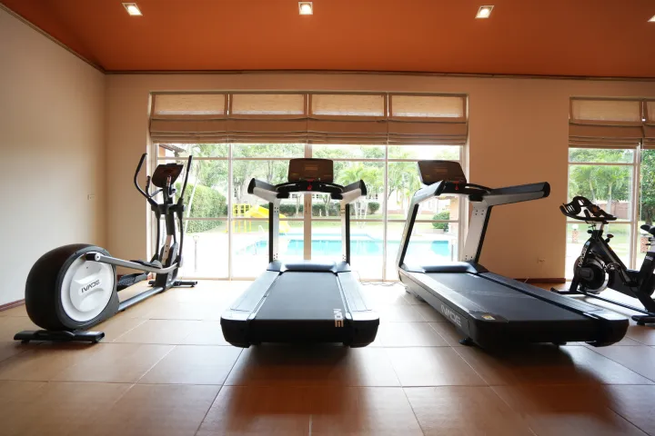 La Villa des Chien 17