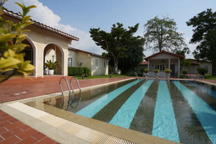 La Villa des Chien 21