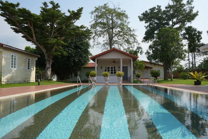 La Villa des Chien 20