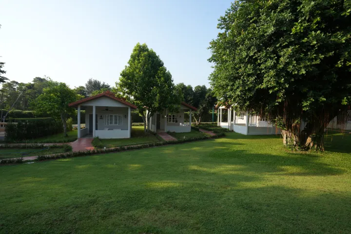 La Villa des Chien 11