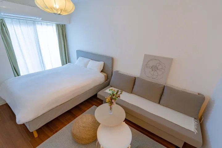 Cozy Double Room with Sofa Bed (501) 4