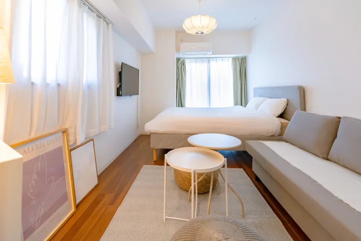 Cozy Double Room with Sofa Bed (501) 14