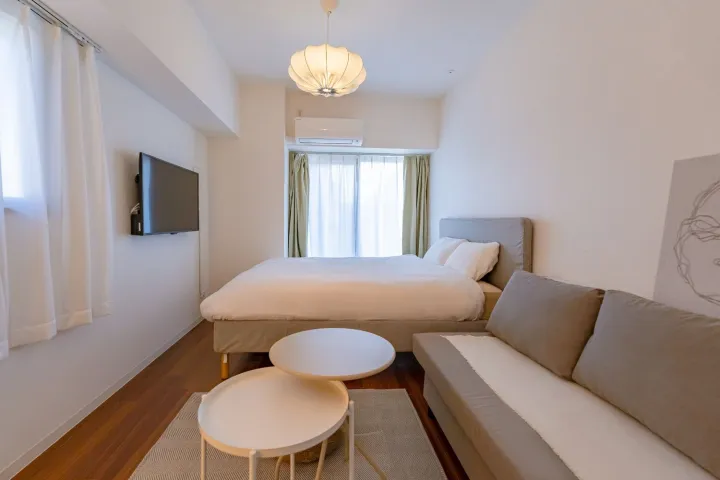 Cozy Double Room with Sofa Bed (501) 5