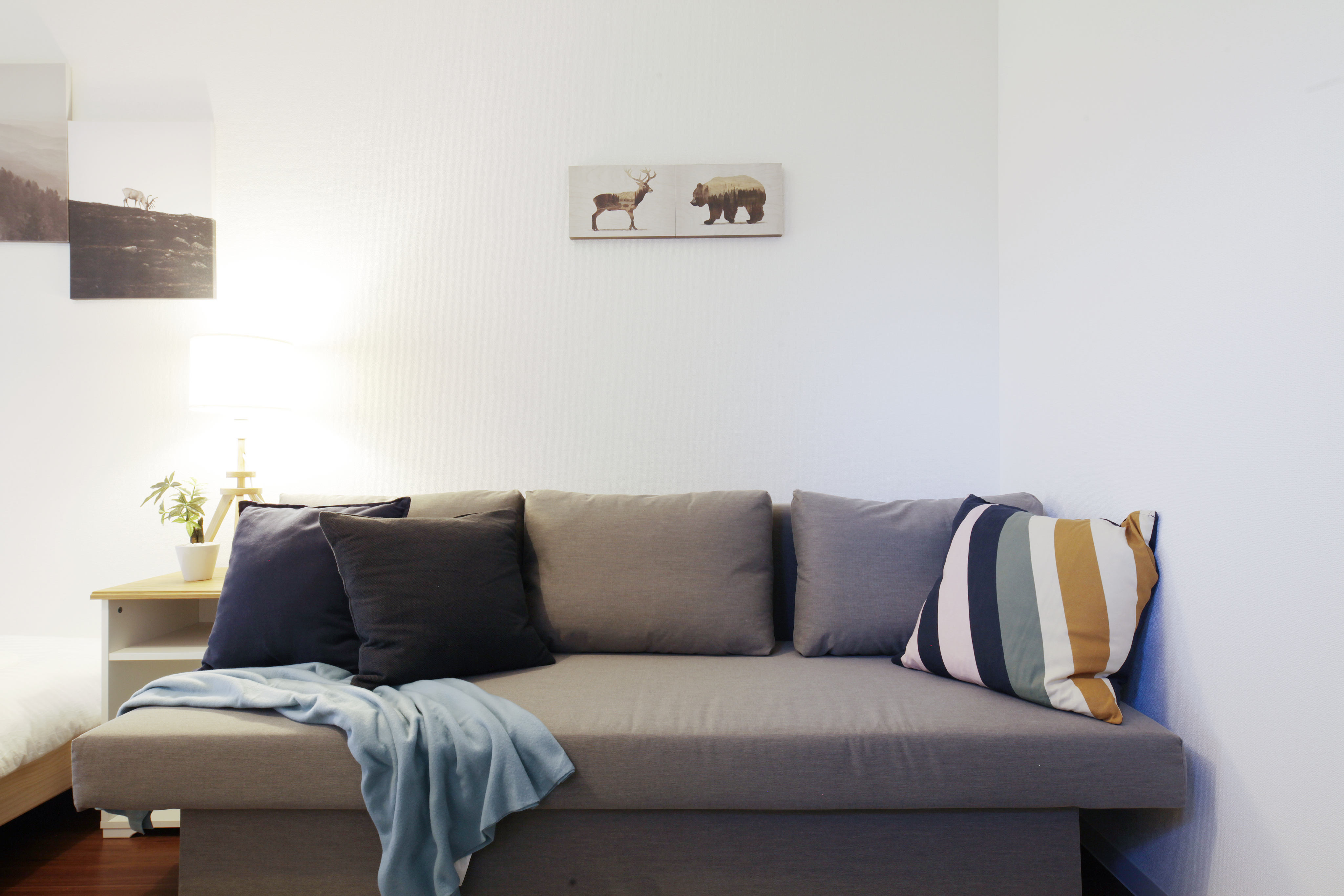 Compact Family Room (301) 10