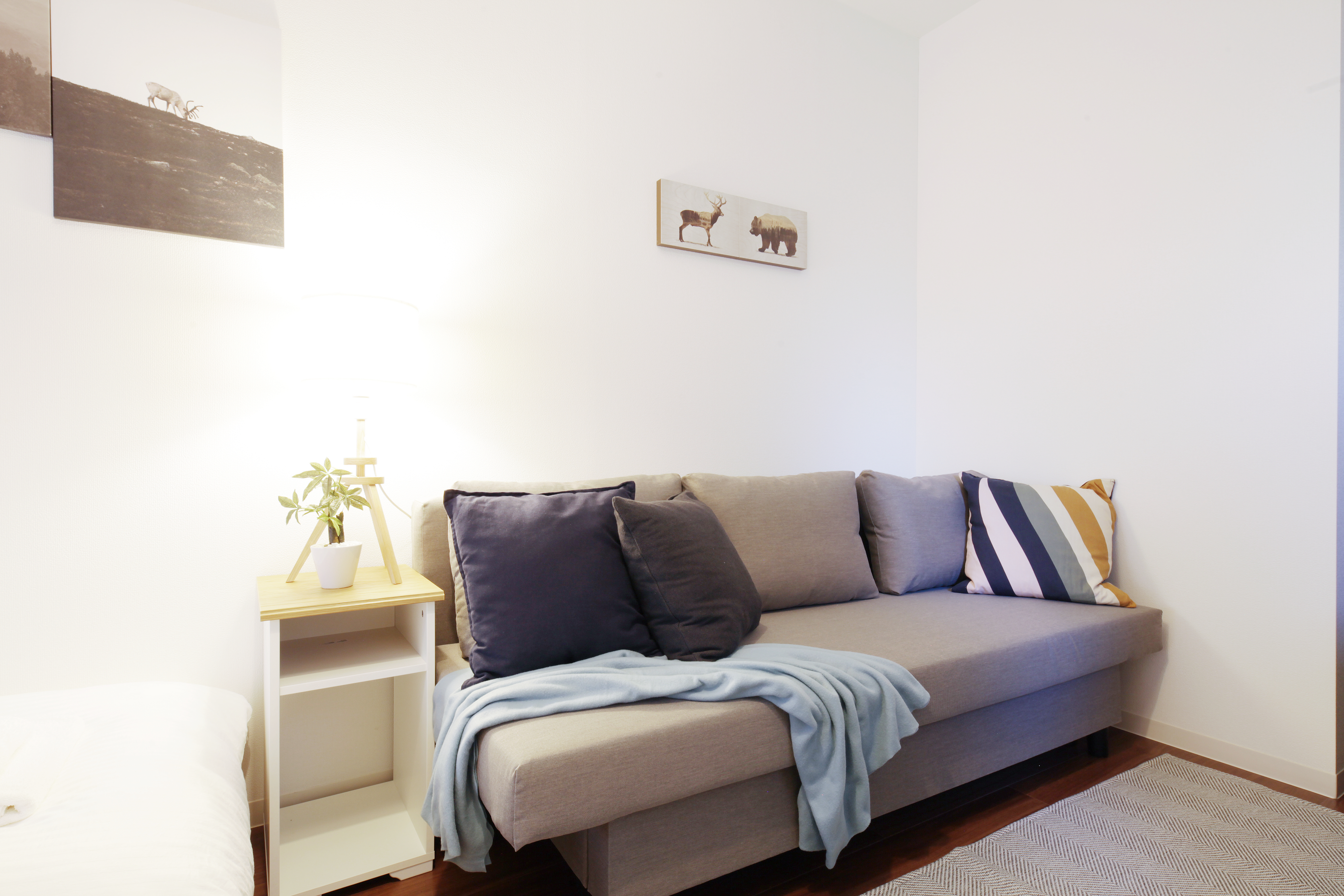 Compact Family Room (301) 1